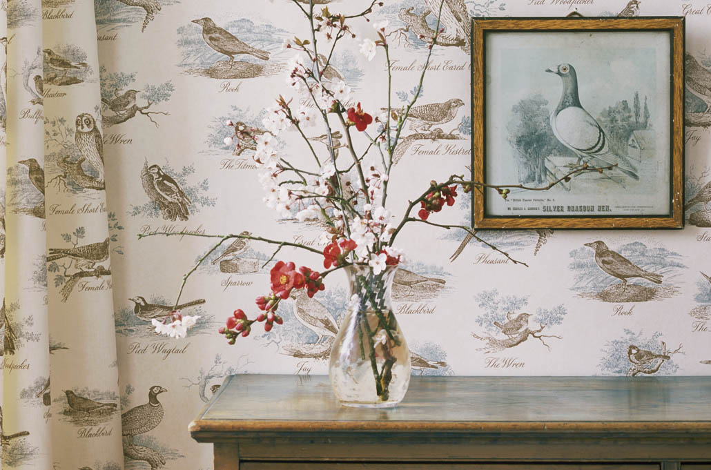 Lewis and Wood Wallpaper Lewis & wood, adam's eden