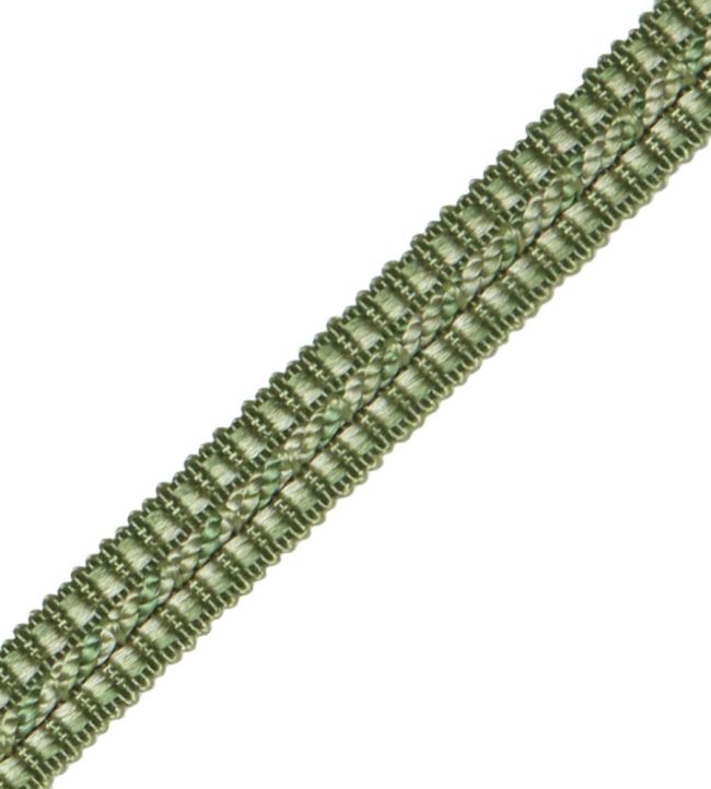 1/2" Le Jardin Silk Gimp Trimming by Samuel & Sons Spearmint