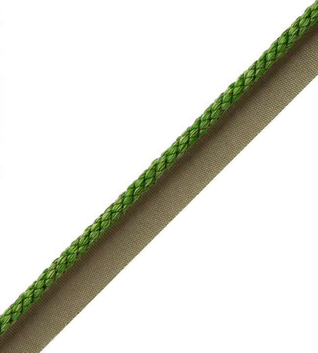 6mm Cambridge Cord With Tape Trimming by Samuel & Sons Spring Green