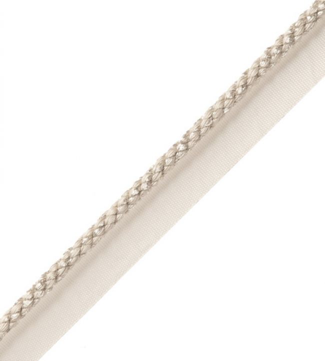6mm Cambridge Metallic Cord With Tape Trimming by Samuel & Sons Platinum