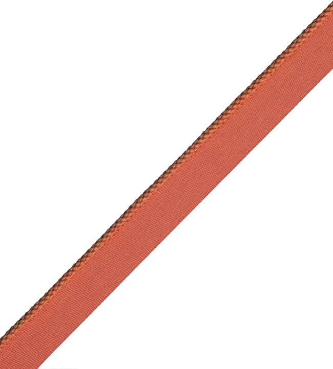 2.5mm Cambridge Cord With Tape Trimming by Samuel & Sons Burnt Orange