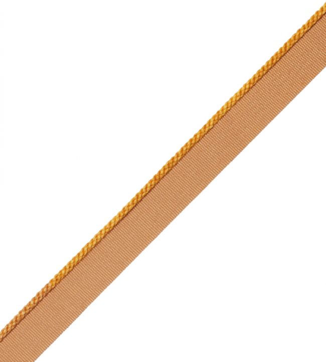 2.5mm Cambridge Cord With Tape Trimming by Samuel & Sons Saffron