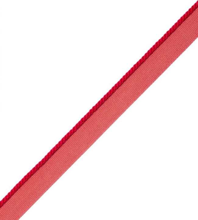 2.5mm Cambridge Cord With Tape Trimming by Samuel & Sons Scarlet