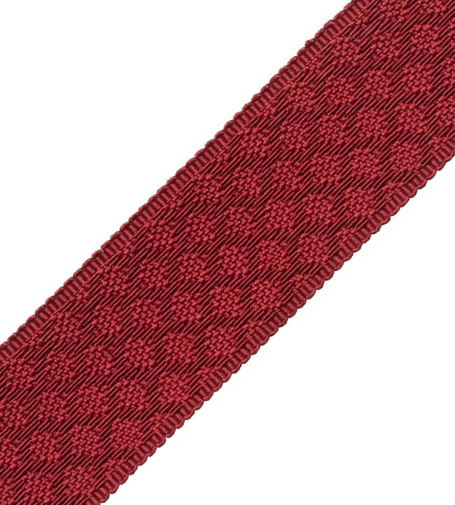 1.75" Le Jardin Silk Border Trimming by Samuel & Sons Burgundy