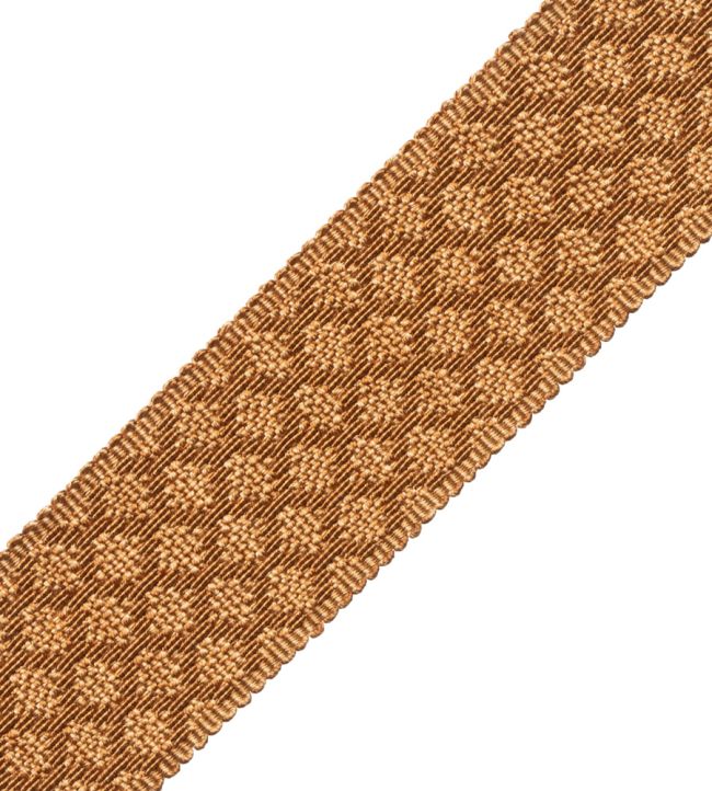 1.75" Le Jardin Silk Border Trimming by Samuel & Sons Butterscotch