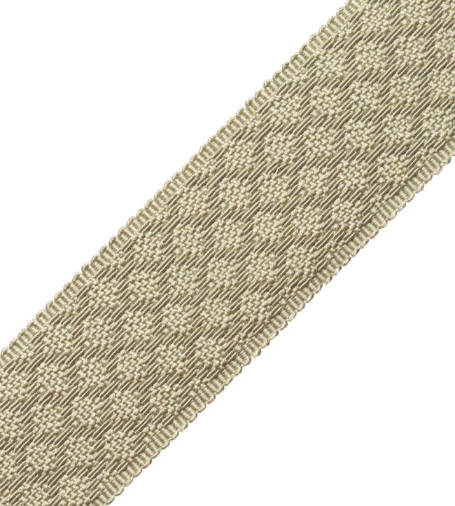1.75" Le Jardin Silk Border Trimming by Samuel & Sons Celedon