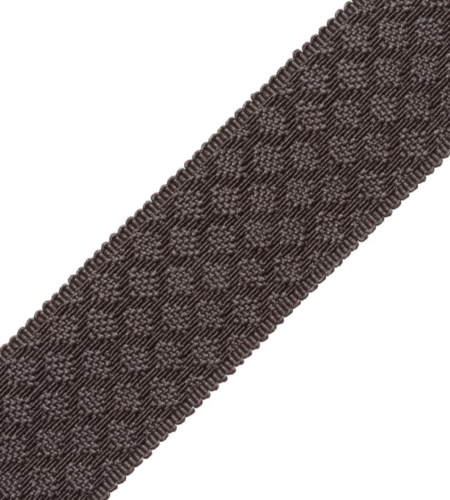 1.75" Le Jardin Silk Border Trimming by Samuel & Sons Charcoal