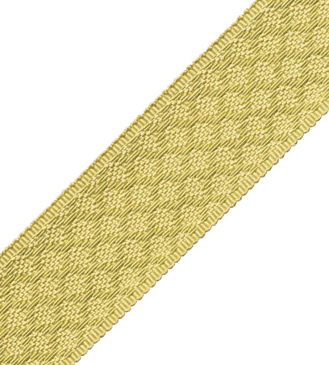 1.75" Le Jardin Silk Border Trimming by Samuel & Sons Chartreuse
