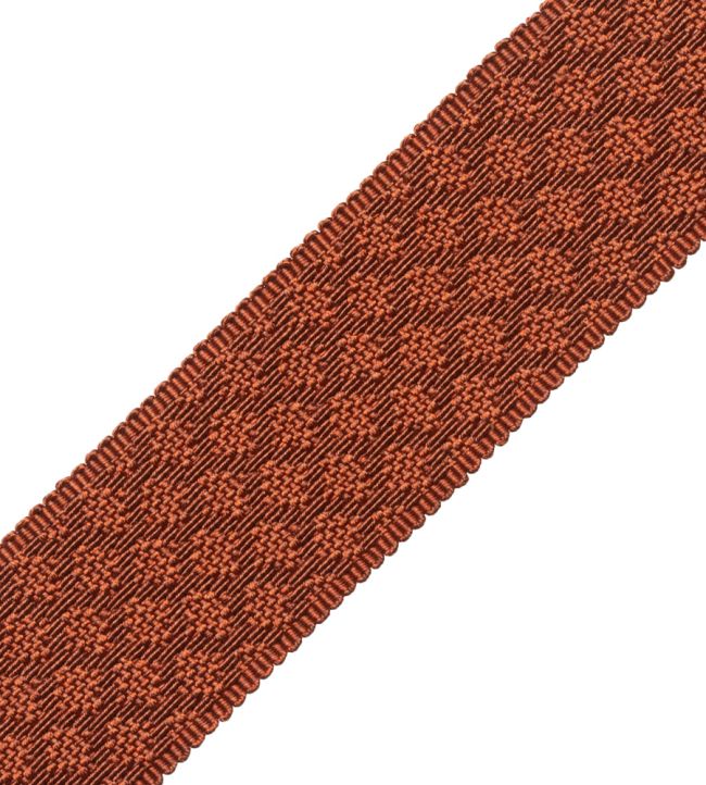 1.75" Le Jardin Silk Border Trimming by Samuel & Sons Copper