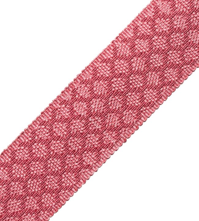 1.75" Le Jardin Silk Border Trimming by Samuel & Sons Flamingo