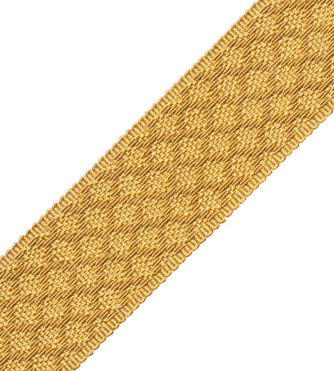 1.75" Le Jardin Silk Border Trimming by Samuel & Sons Goldenrod