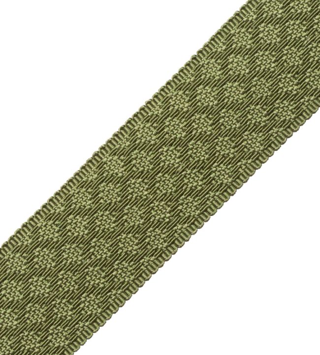 1.75" Le Jardin Silk Border Trimming by Samuel & Sons Leaf