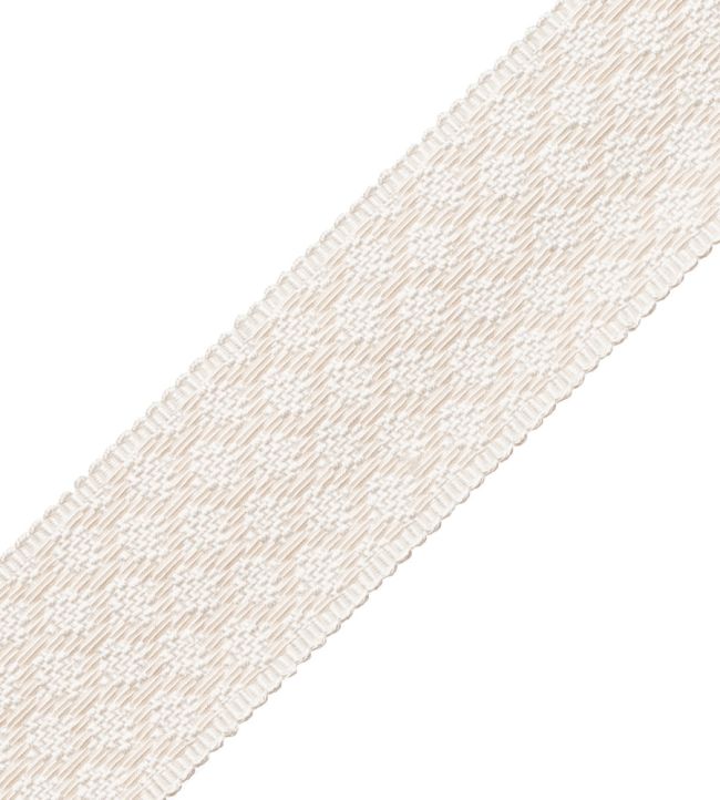 1.75" Le Jardin Silk Border Trimming by Samuel & Sons Snow