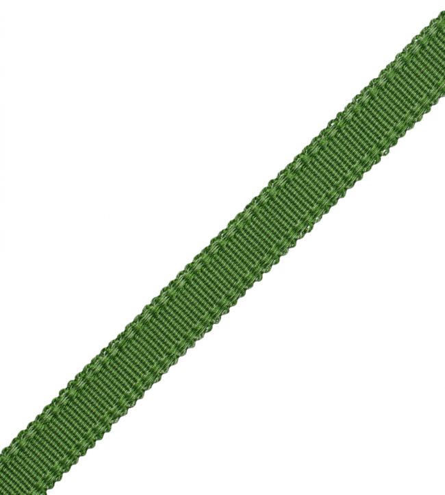 13mm Cambridge Strie Braid Trimming by Samuel & Sons Spring Green