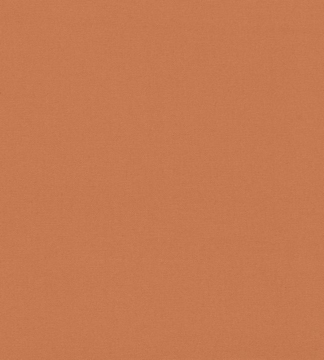 Allegra Fabric by Harlequin Sandstone