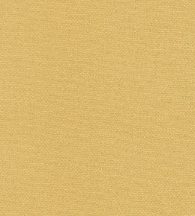 Allegra Fabric by Harlequin Straw
