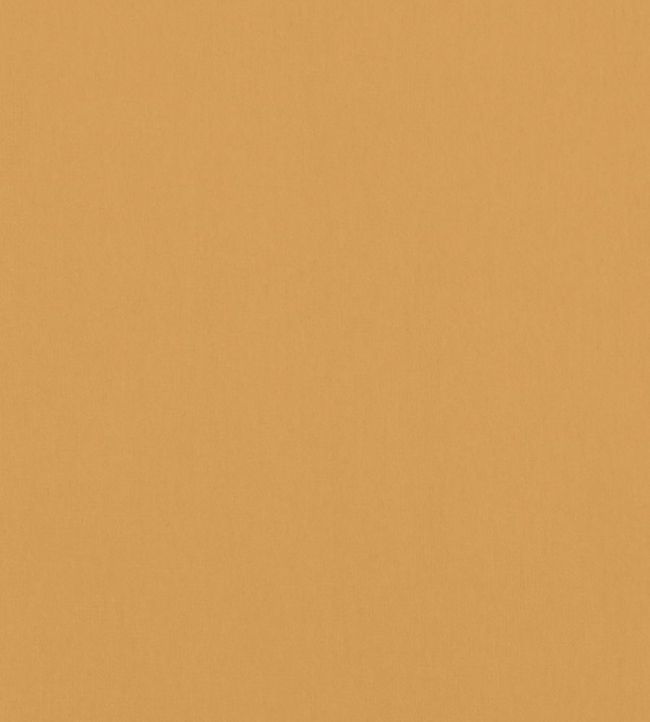 Alto Velvet Fabric by Thibaut Honey