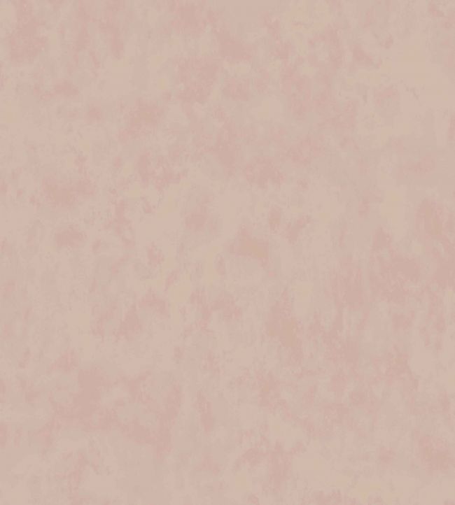Alumina Wallpaper by Villa Nova Plaster