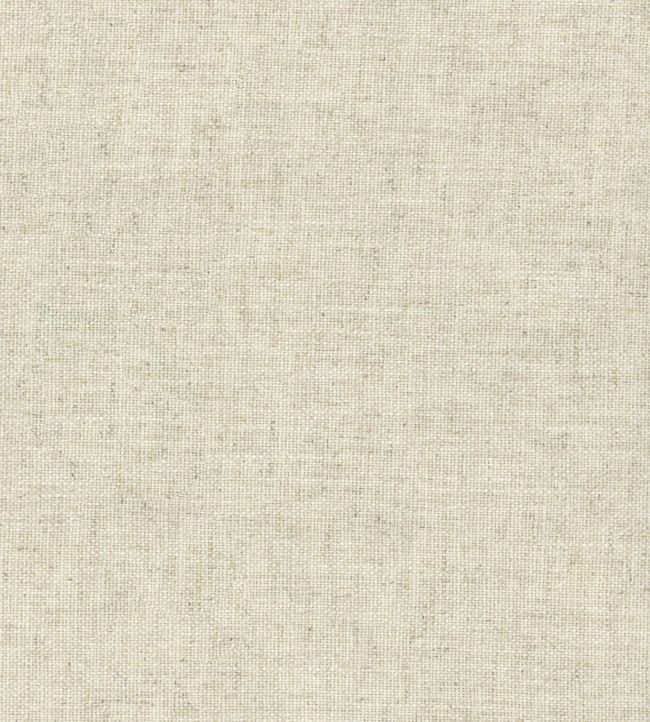 Trek Fabric by Andrew Martin Linen