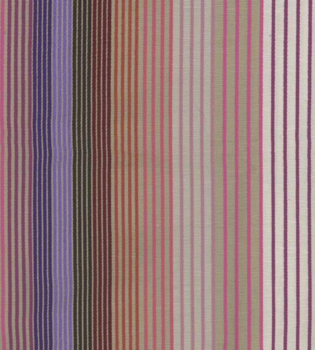Margarita Fabric by Andrew Martin Multi