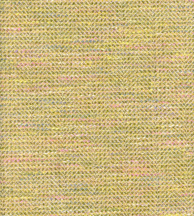 Delphini Fabric by Andrew Martin Quince