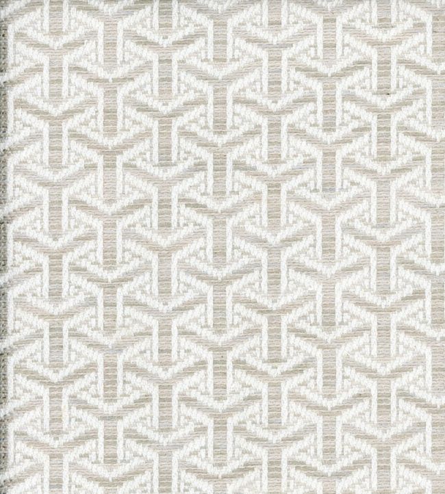 Monte Fabric by Andrew Martin String