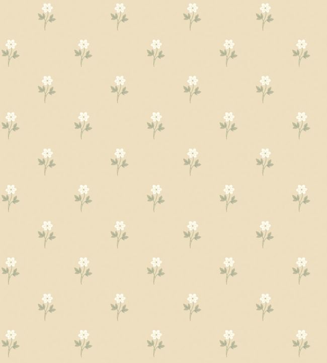 Anemone Wallpaper by Borastapeter Neutral