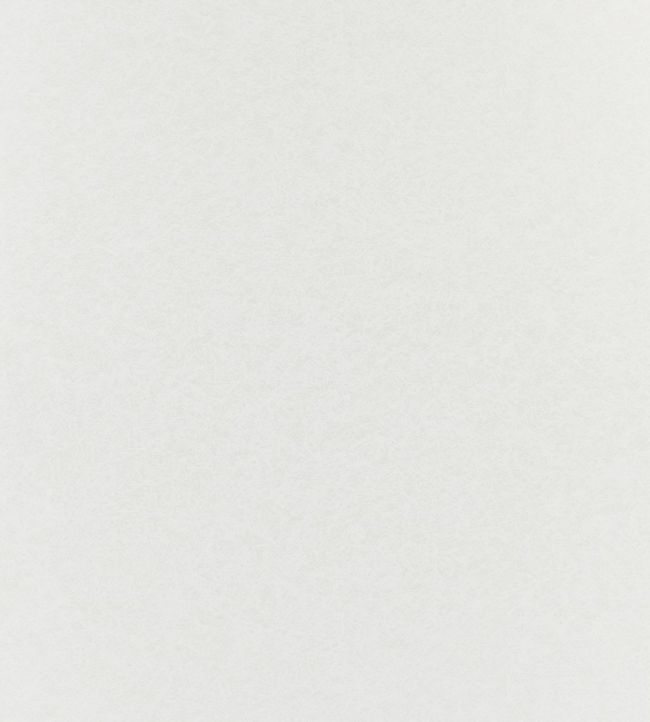 Shellac Wallpaper by Anthology in Alabaster | Jane Clayton