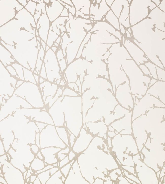 Arbor Wallpaper by Romo Jasmine