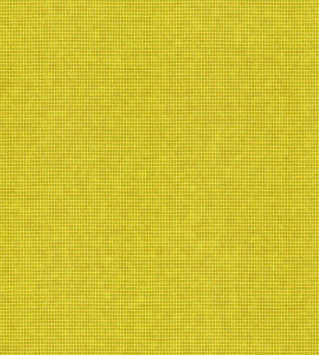 Arden Fabric by Wemyss Zest