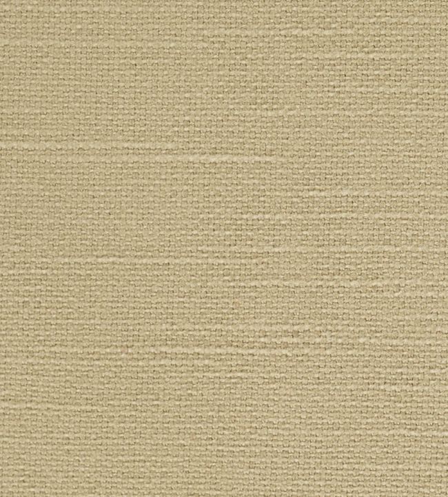 Frequency Fabric by Harlequin Wheat