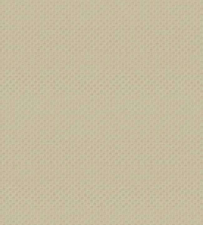 Pantheon Wallpaper by Armani Casa 9242