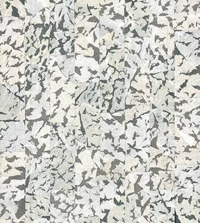 Armoured Boar Wallpaper by Moooi Black & White