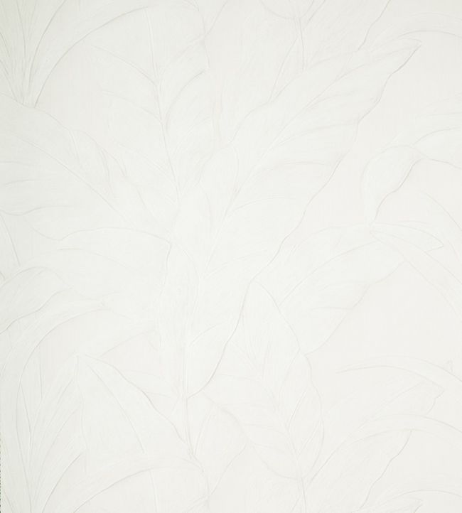 Musa Wallpaper by Arte 1
