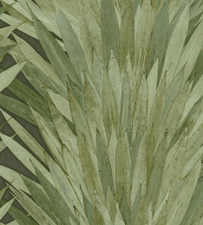Abanico Wallpaper by Arte 1
