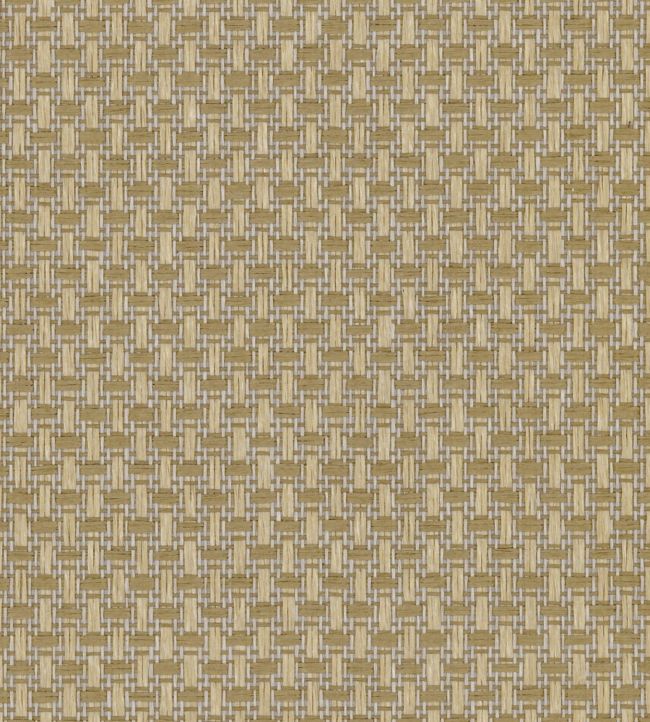 Ferox Wallpaper by Arte 64