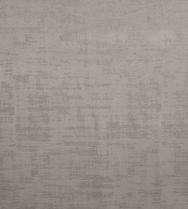 Dakota Fabric by Ashley Wilde Birch