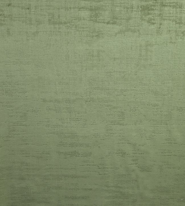 Dakota Fabric by Ashley Wilde Olive