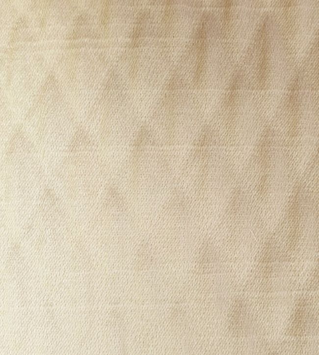 Alie Fabric by Ashley Wilde Champagne