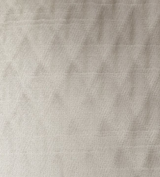 Alie Fabric by Ashley Wilde Taupe