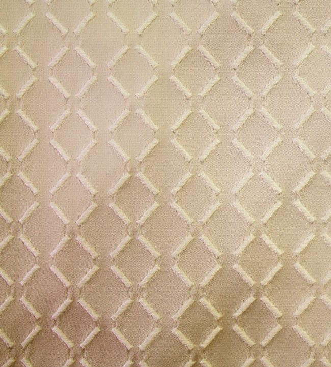 Burman Fabric by Ashley Wilde Gold