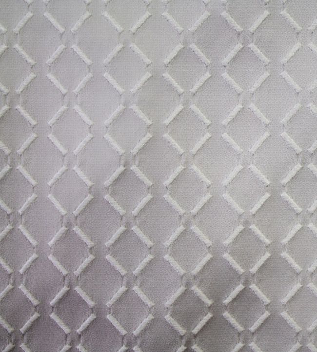 Burman Fabric by Ashley Wilde Platinum