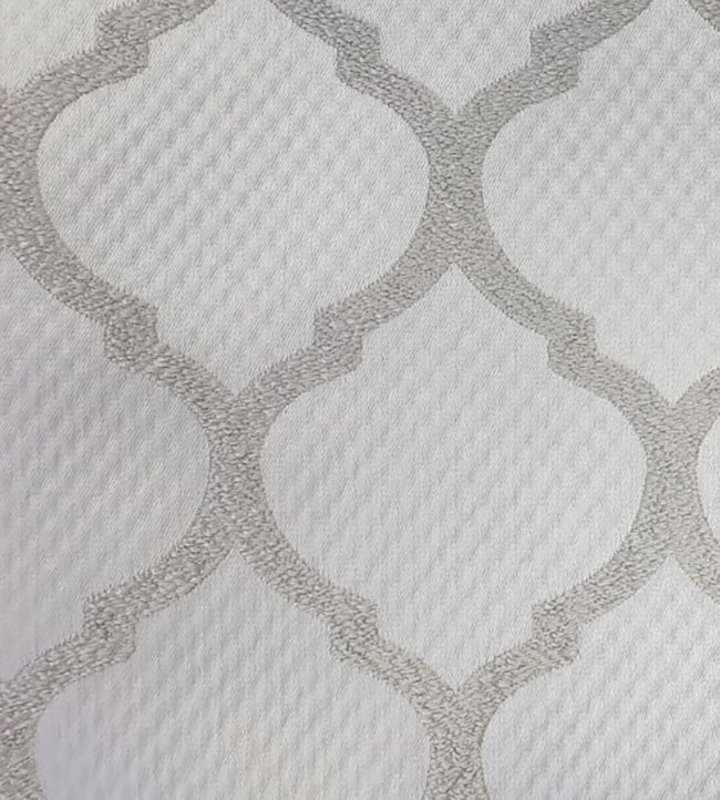 Camley Fabric by Ashley Wilde Platinum