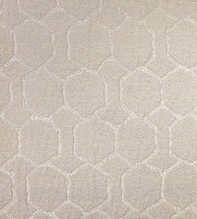 Digby Fabric by Ashley Wilde Champagne