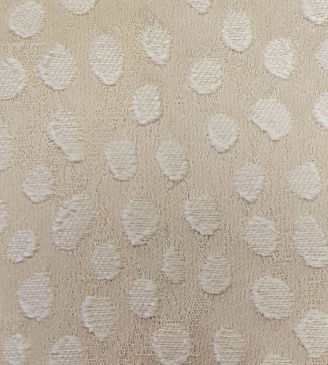 Furley Fabric by Ashley Wilde Champagne