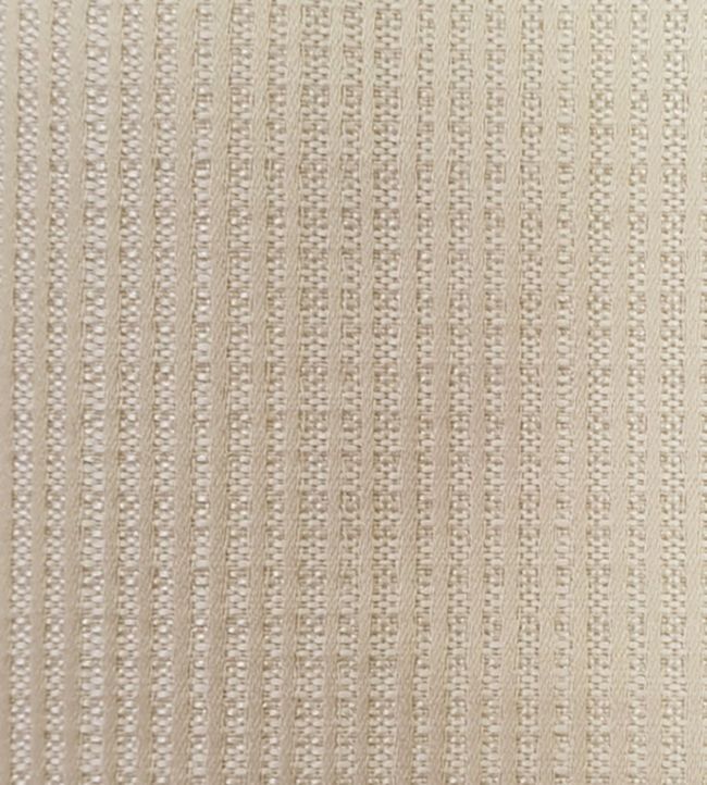 Gilden Fabric by Ashley Wilde Champagne
