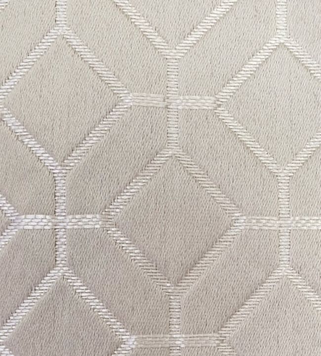 Lanark Fabric by Ashley Wilde Champagne