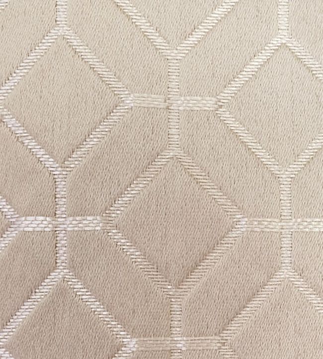 Lanark Fabric by Ashley Wilde Taupe