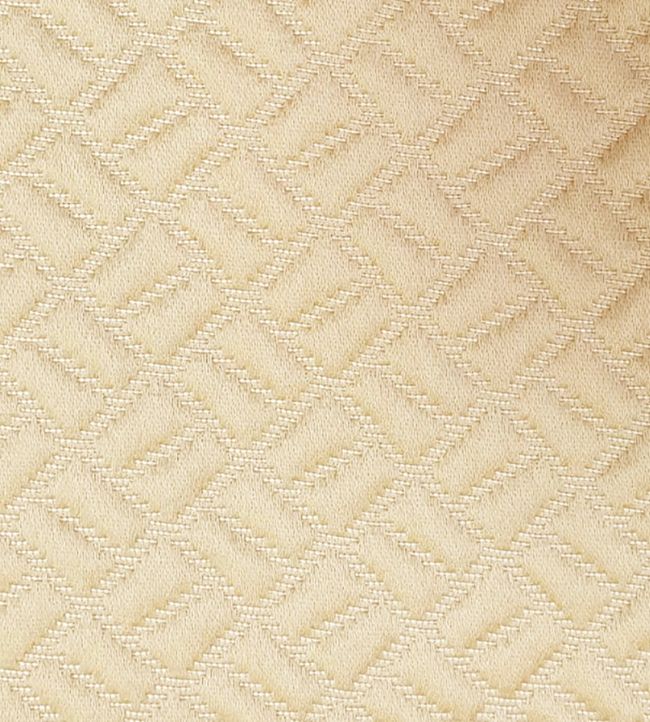 Moreton Fabric by Ashley Wilde Gold