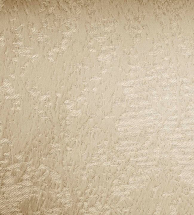 Poplar Fabric by Ashley Wilde Gold